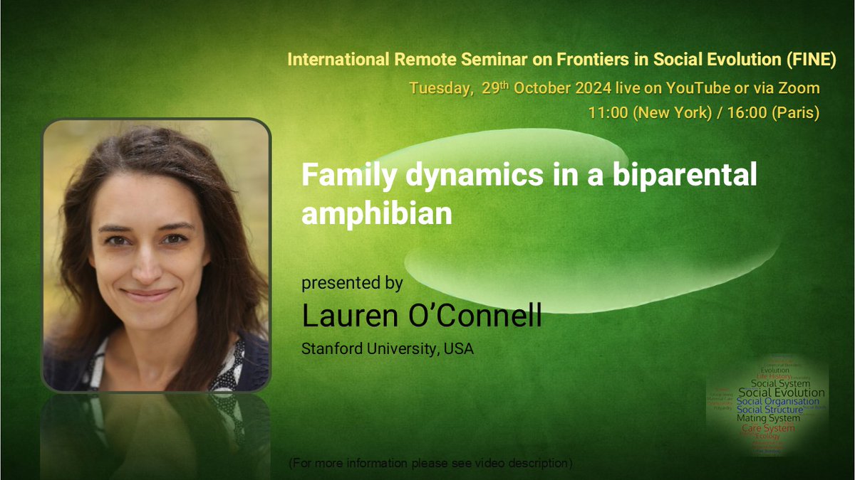 FINE_seminar's tweet photo. Tomorrow on FINE we have Lauren O'Connell from Stanford University, USA, giving a talk titled: Family dynamics in a biparental amphibian. Tune in via Zoom or on our YouTube channel. Presentation starts at 11:00 NYC / 16:00 Paris. https://t.co/RlSHSeGFXe