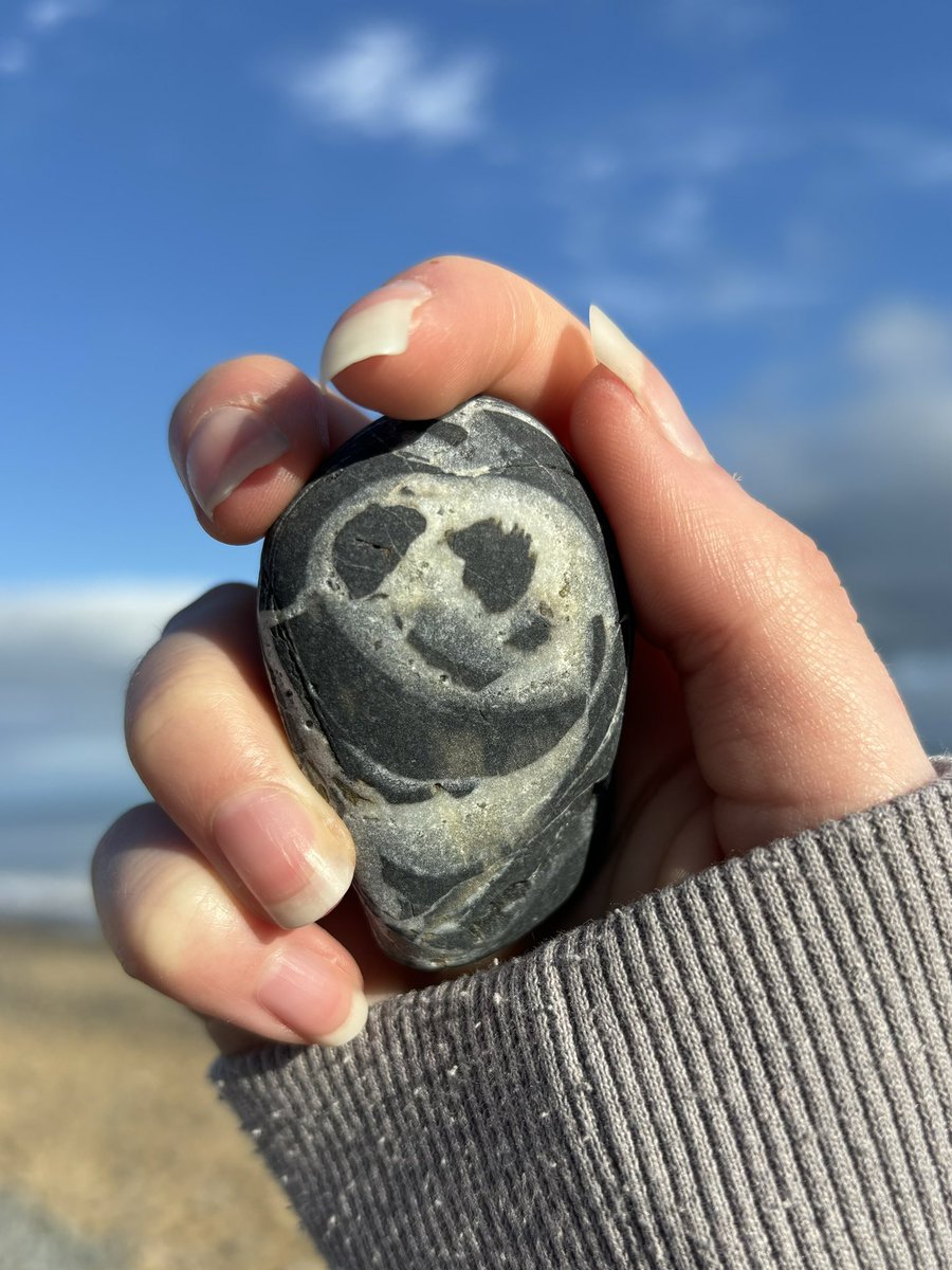 Pebble of the week 😱💀👻🎃