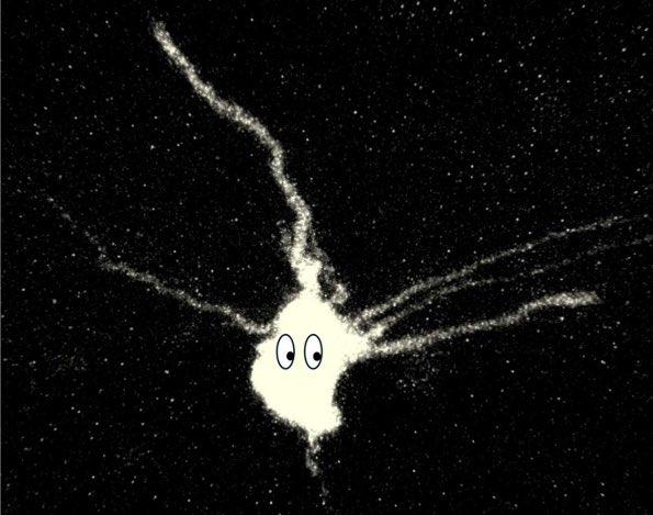The ghost neuron is here for Halloween 👻🎃