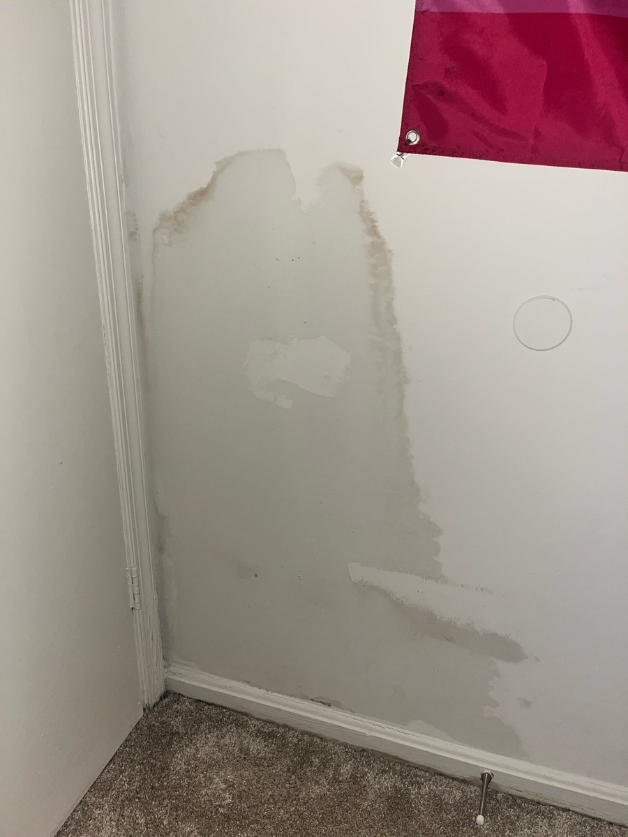 beccamals tweet media