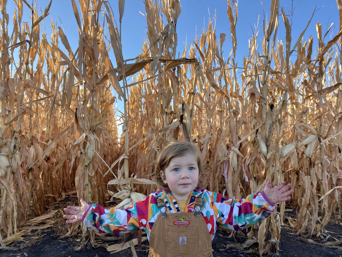 DebKAnderson's tweet photo. These yields could be yours!!
#plantDekalb ⁦@Asgrow_DEKALB⁩ ⁦@SDDEKALBASGROWA⁩ ⁦@DKAS_ND_N_MN⁩ https://t.co/Qkzf8wG29R