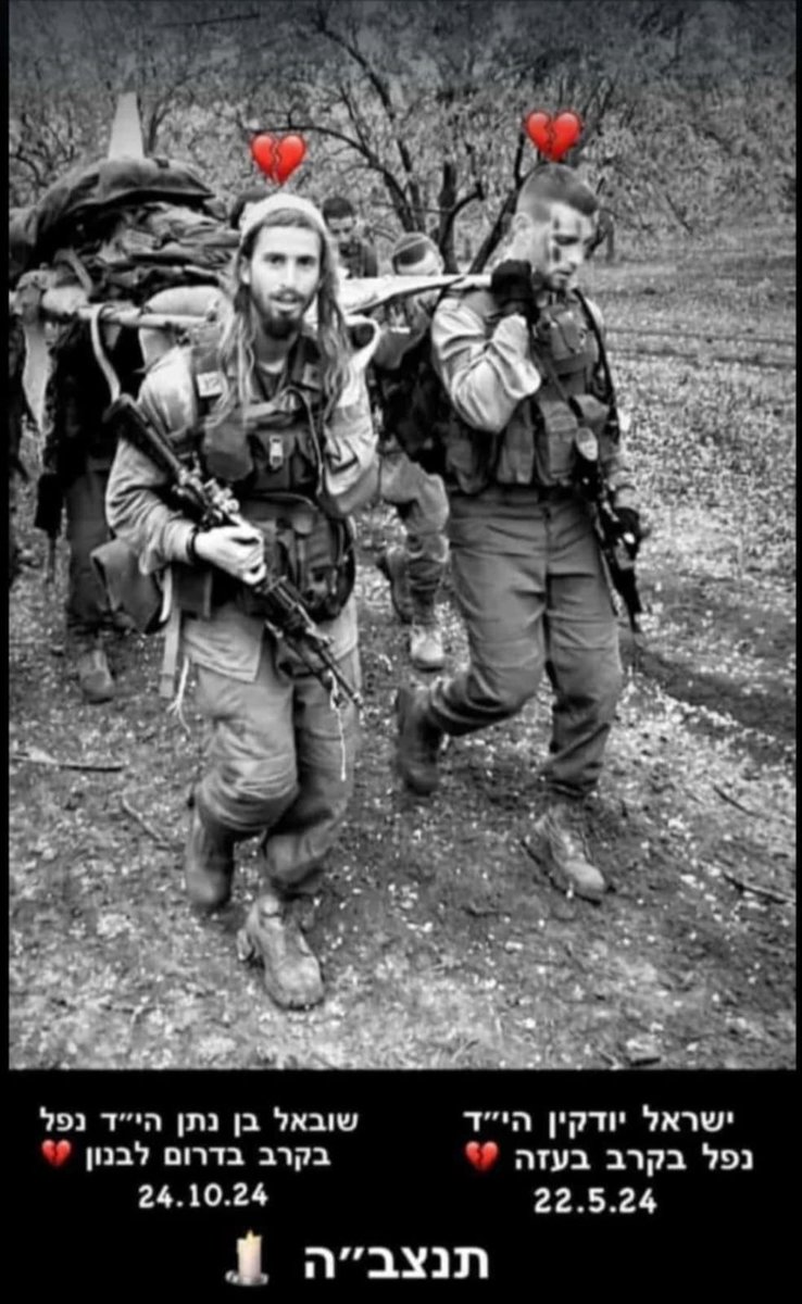 ינון מגל tweet media