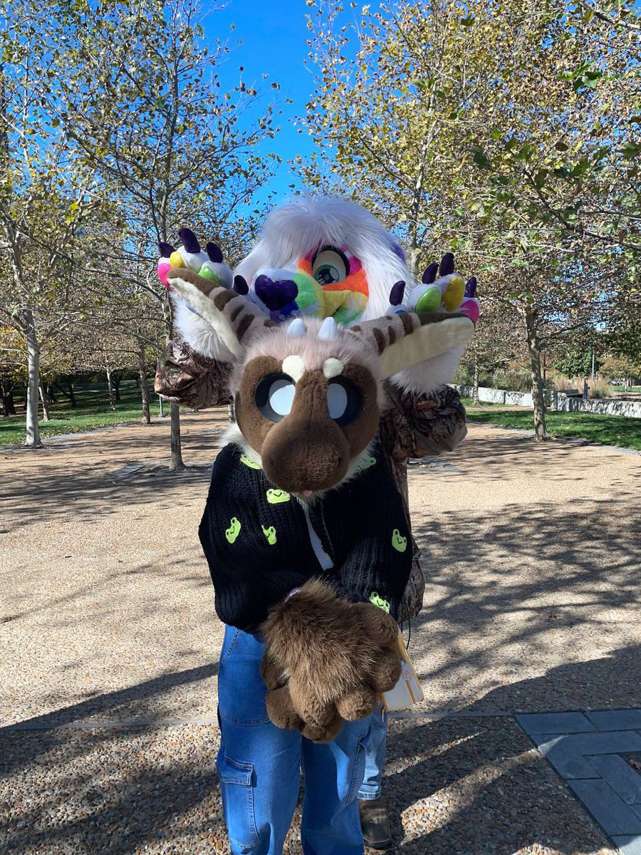 CatNippDog's tweet image. These were in my way… 💕 
#WeCute #Furry #UWU #CuteCouples