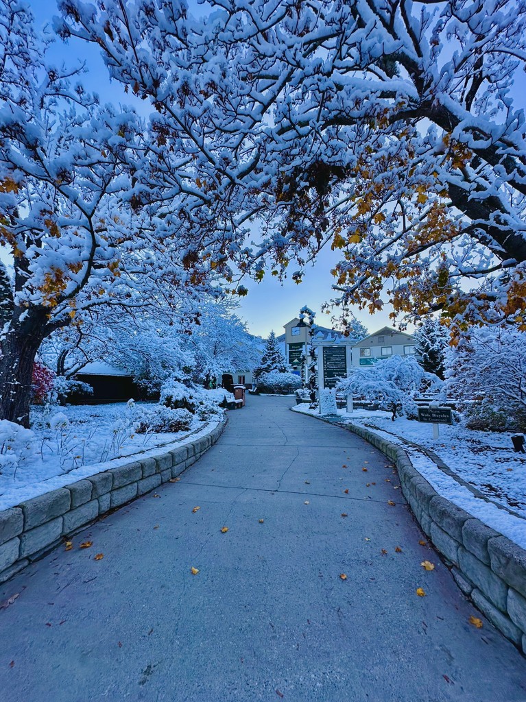 Smugglers' Notch tweet media
