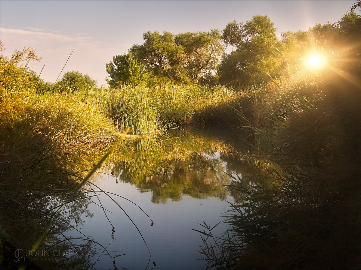 John Clark | Photographer (@getrealjc) on Twitter photo Clark County Wetlands Nature Preserve is one of the largest urban wetlands in the Southwest. It may be hard to believe, but you can just about see the Las Vegas Strip from this desert oasis!
<a href="/ClarkCountyNV/">Clark County Nevada</a> <a href="/TravelNevada/">Travel Nevada</a> #ThePhotoHour #on1pics <a href="/ON1photo/">ON1</a> Clark County Wetlands Nature Preserve is one of the largest urban wetlands in the Southwest. It may be hard to believe, but you can just about see the Las Vegas Strip from this desert oasis!
<a href="/ClarkCountyNV/">Clark County Nevada</a> <a href="/TravelNevada/">Travel Nevada</a> #ThePhotoHour #on1pics <a href="/ON1photo/">ON1</a>