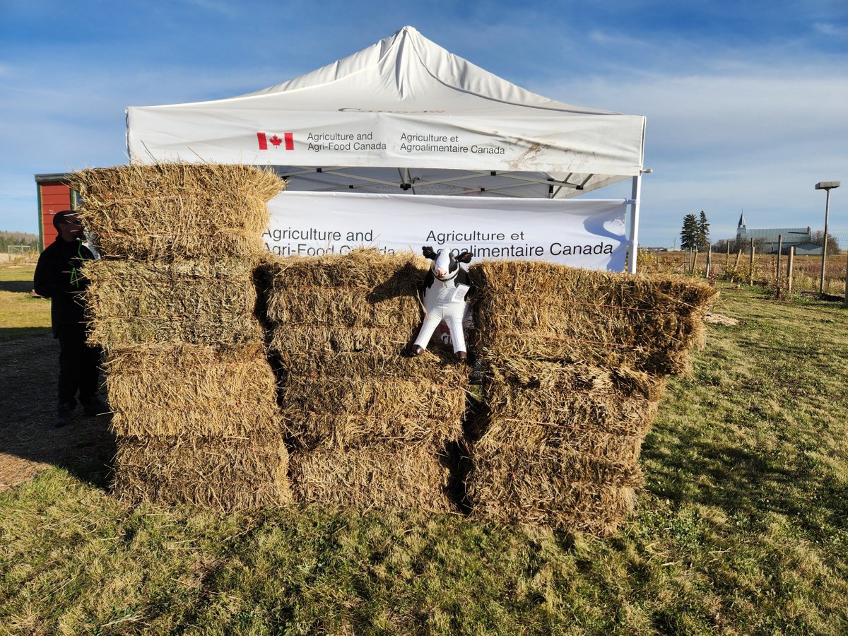 AAFC_Canada's tweet photo. Earlier this month, our #GCAggie colleagues partnered with #AgLivingLab β Bridge to Land Water Sky for a harvest science fest in Muskeg Lake, Saskatchewan. A learning event for everyone! ππ§πΎ https://t.co/tuZJzsH8hG