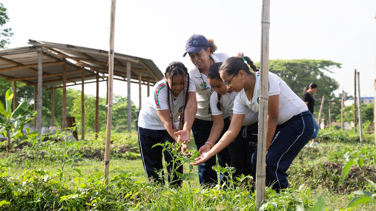 Plan Jarillón de Cali tweet media