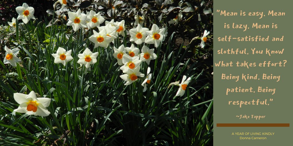 "Mean is easy. Mean is lazy. Mean is self-satisfied and slothful. You know what takes effort? Being kind. Being patient. Being respectful." ~Jake Tapper #ChooseKindness #KindnessMatters amzn.to/2STbrcK