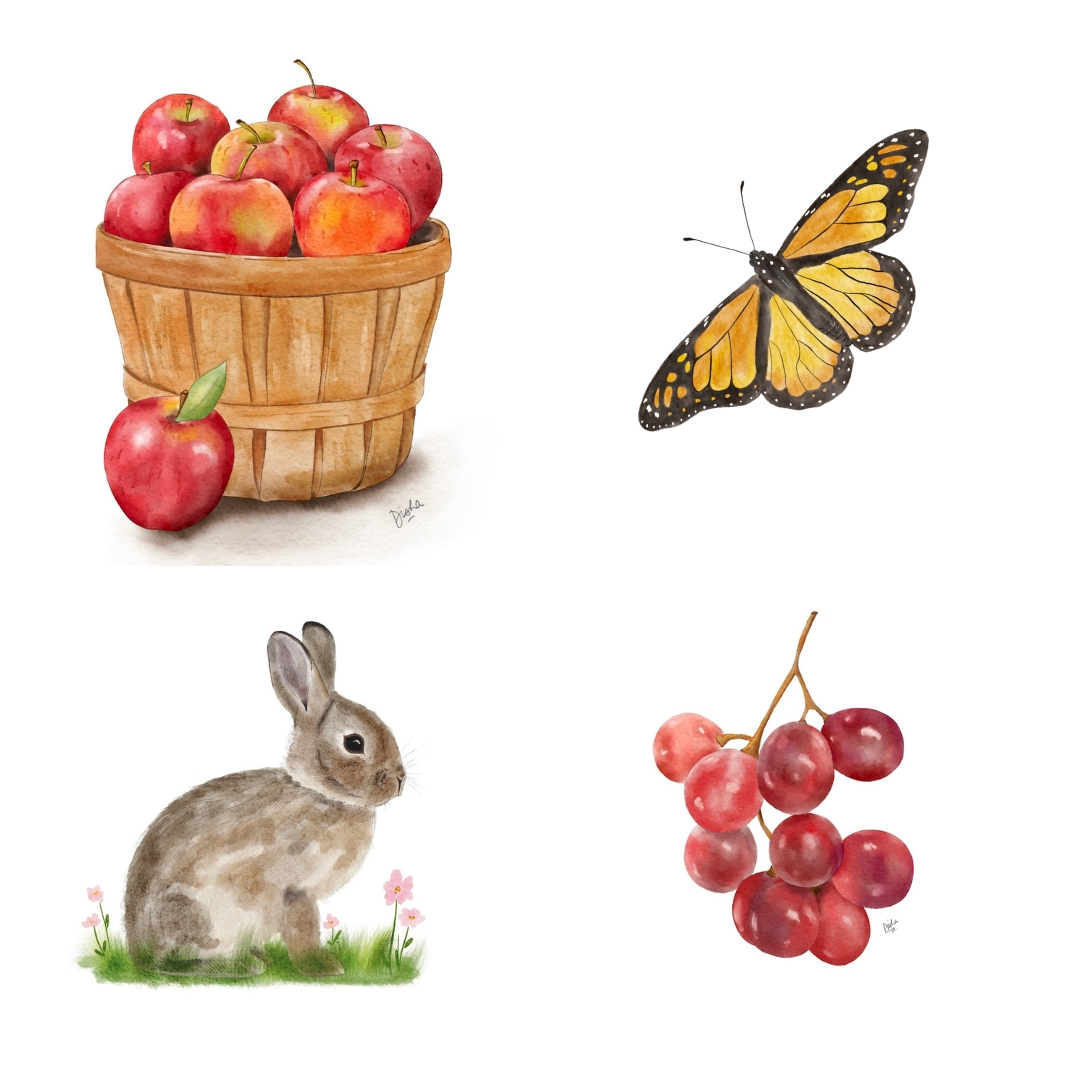 Disha Sharma tweet media