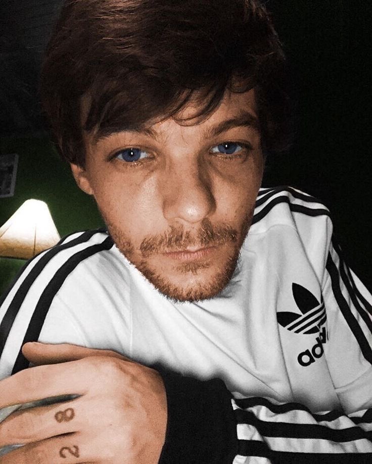 just louis tweet media