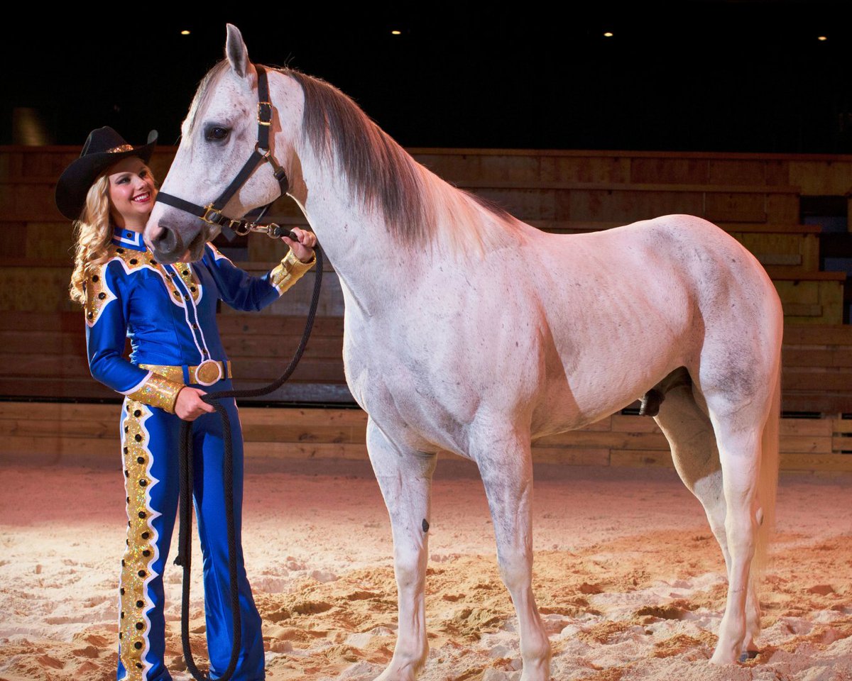 DollysStampede's tweet photo. Get ready for an unforgettable performance at Dolly Parton's Stampede!
#dollystampede #dollysstampede #dollypartonstampede #dollypartonsstampede #dinnershow #adollypartonshow #stampede #familyfun #familyshow #horses #vacation #mypigeonforge #visitbranson https://t.co/iJGBLdxMqL