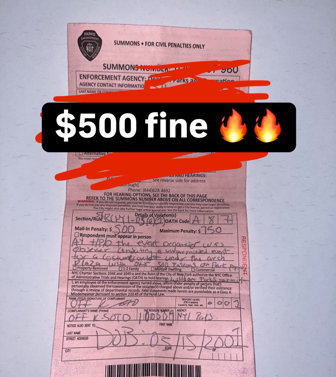 3 months ago I came up with the idea for the Timothee Chalamet Lookalike Competition. Today I got hit with a $500 fine. Life is beautiful.
