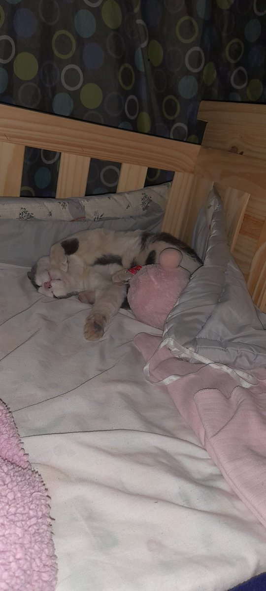 Te voy amar y extrañar toda mi vida mi bebe
Adiós mi coco