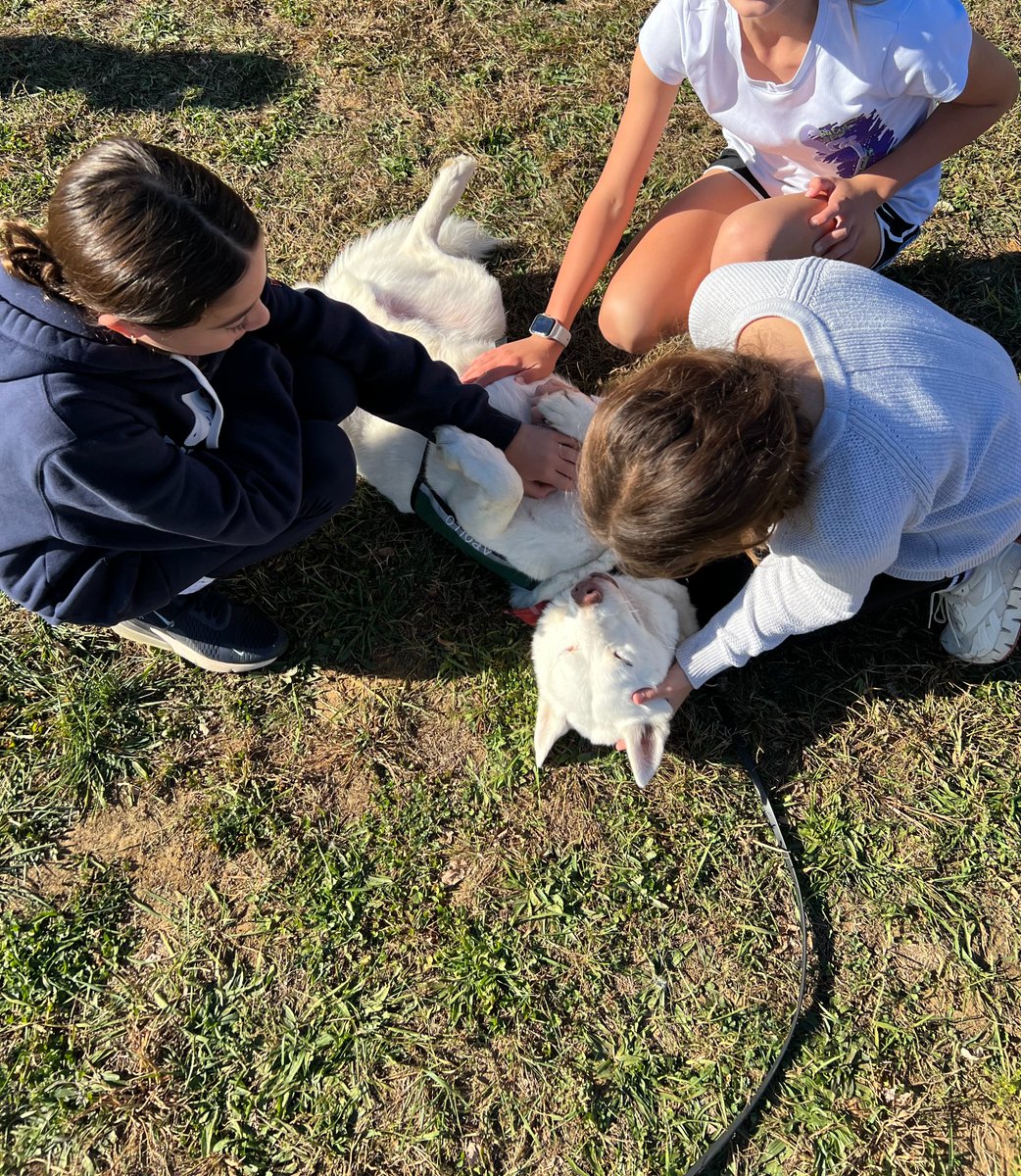 MTPSMiddleSchoolABS (@absmiddleschool) on Twitter photo Apollo (and the students) loved Thompson's Fall Fest last Friday! <a href="/ThompsonMSpride/">Brian Currie</a> #MTEAPride Apollo (and the students) loved Thompson's Fall Fest last Friday! <a href="/ThompsonMSpride/">Brian Currie</a> #MTEAPride