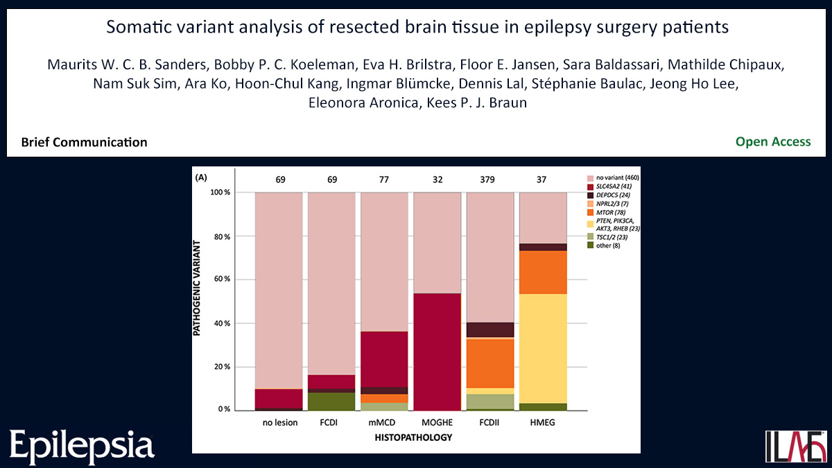 EpilepsiaJourn's tweet photo. Somatic variant analysis of resected brain tissue in epilepsy surgery patients
https://t.co/wLk7fR42oM
#epilepsy #epilepsysurgery #genetics #germlinevariant #MCD #somaticvariant @IlaeWeb @epilepsiajourn @WileyNeuro https://t.co/VmChFqZ3WB