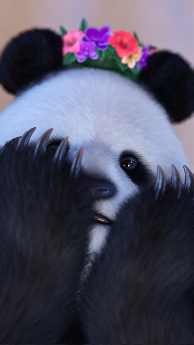 Cookie&Cream 🐼 - 圆梦❤️ tweet media