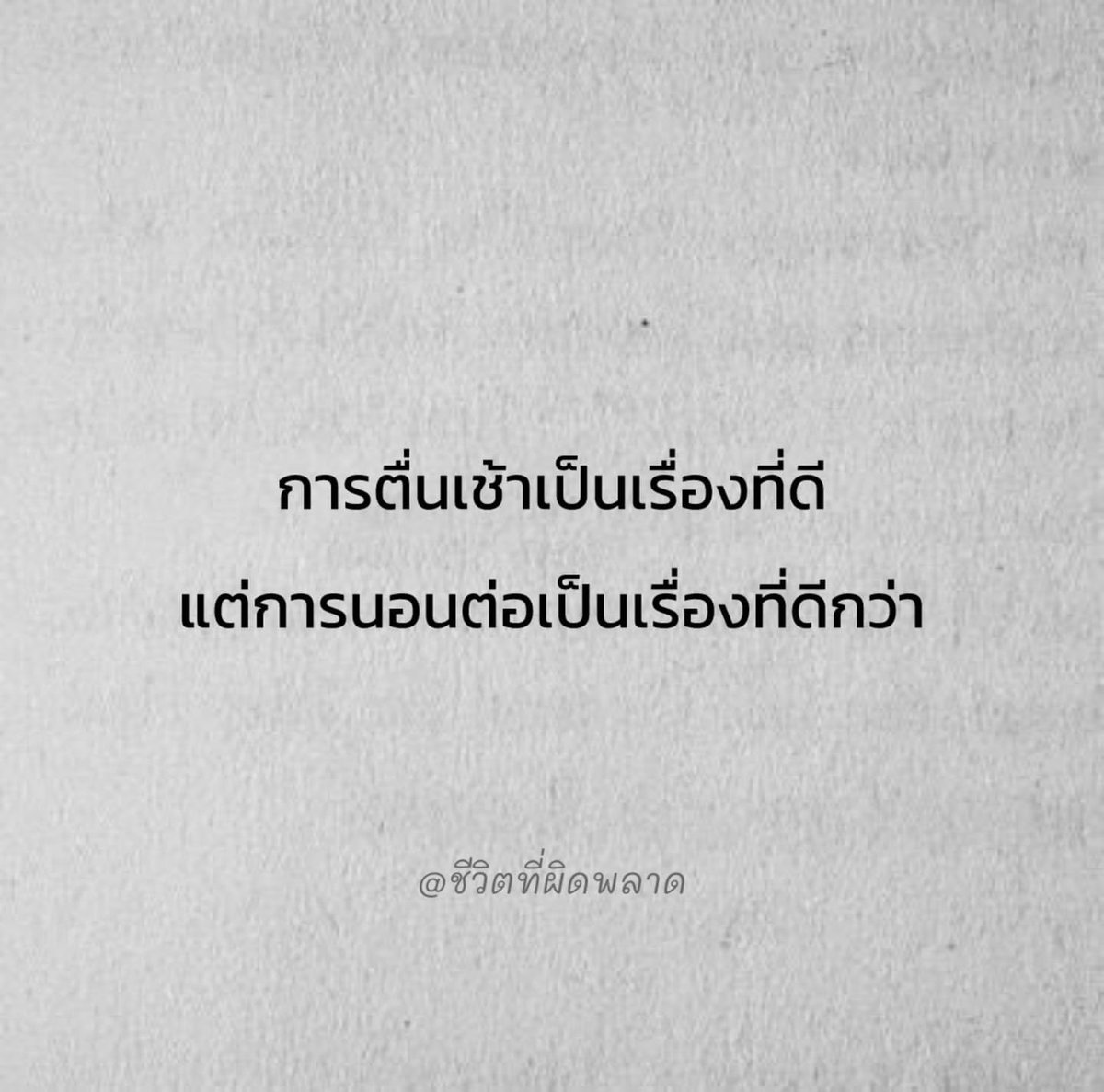 ช่างแม่ง🐰🏳️🌈 tweet media