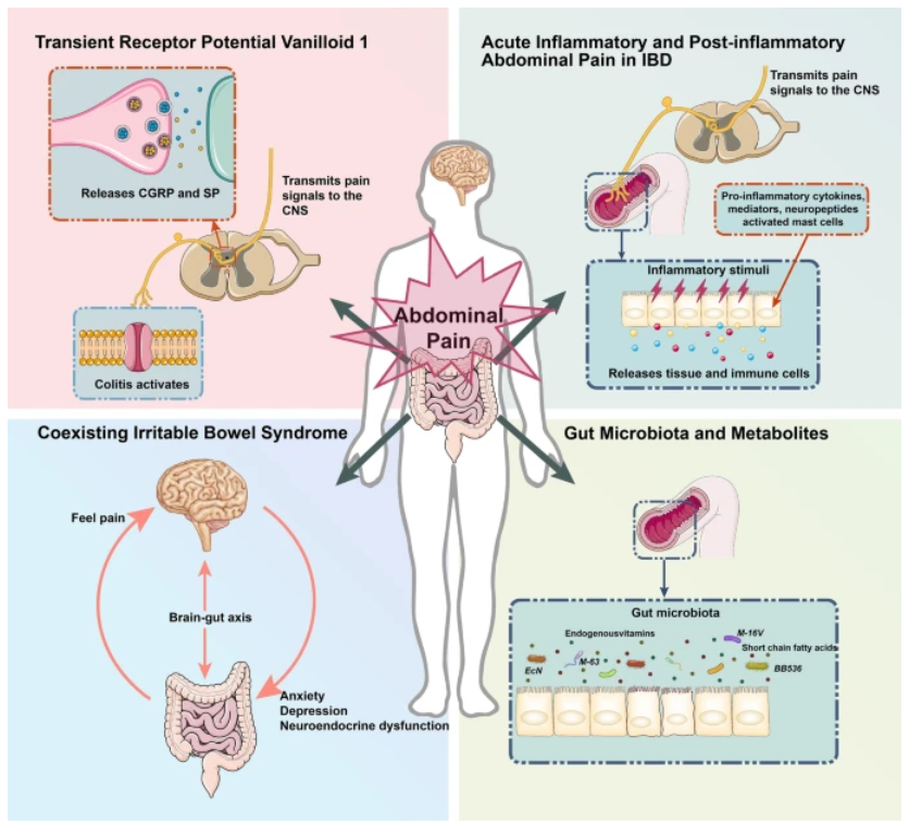 Pain and Therapy tweet media