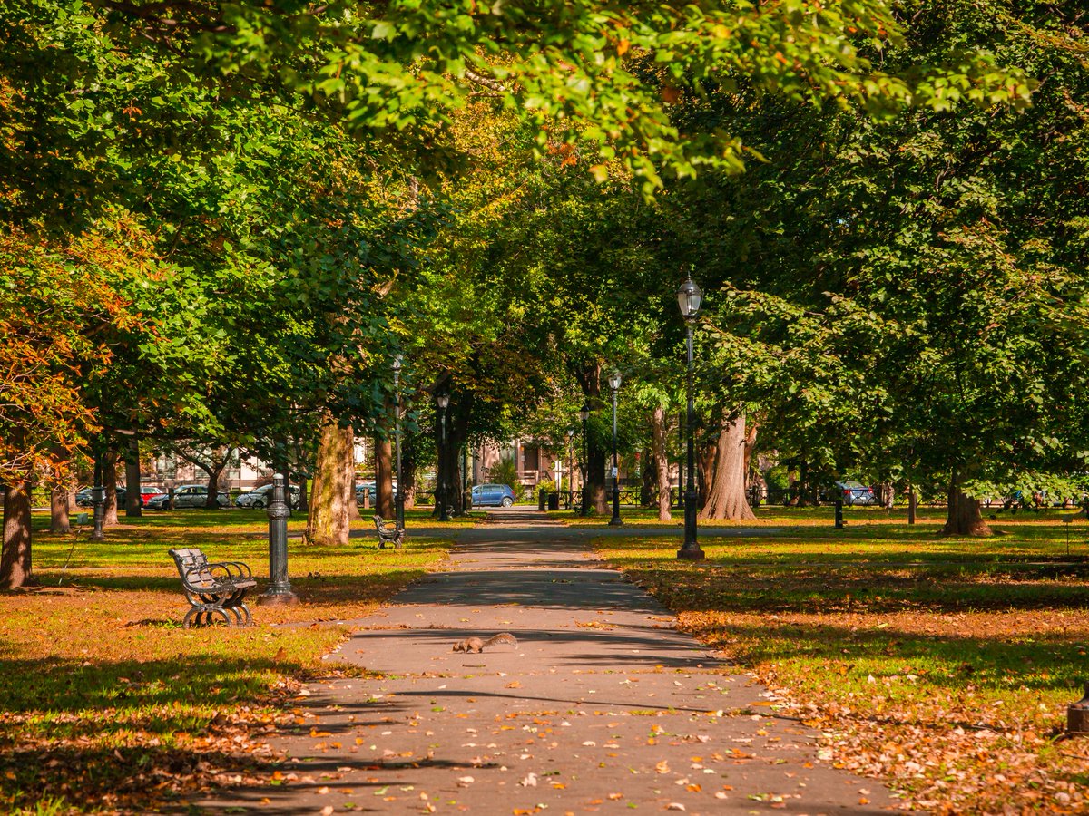 InfoNewHaven's tweet photo. Fall scenes from Wooster Square. 🎃

For all the best spots to go leaf-peeping this season head here: https://t.co/4cH75Yo3Cy

🍂 
🍂 
🍂 
#NHV #Fall #NewHaven https://t.co/9h60zsGgjm