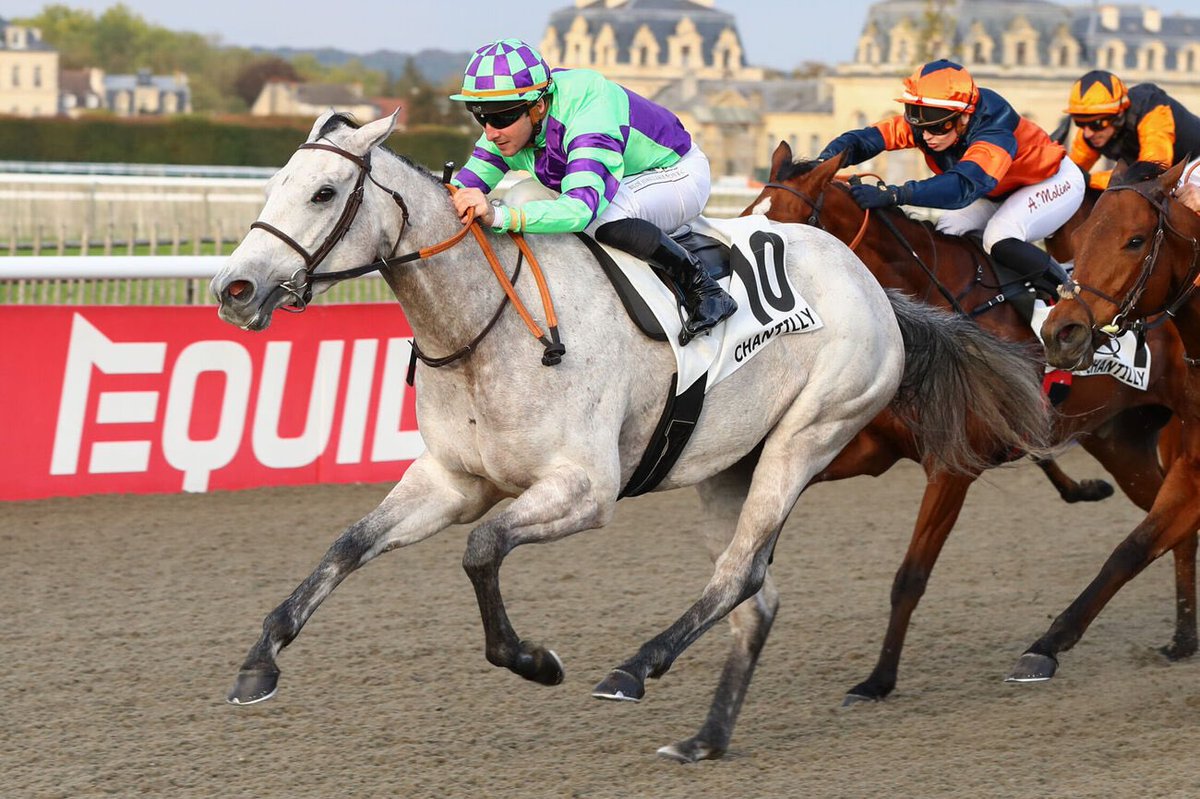ArthurHoyeau's tweet photo. 3YO filly AGORIA makes it back to back wins with a smooth victory @fgchantilly this afternoon for trainer @teamchferland.

The improving daughter of Zoustar was purchased as a yearling at Book 2 of the @Tattersalls1766 October Yearling Sale.

Congratulations to her connections! https://t.co/mFEgOLKZok