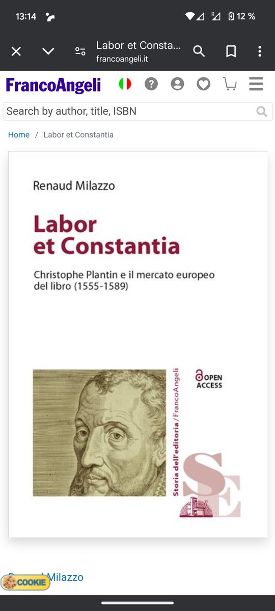 series.francoangeli.it/index.php/oa/c…