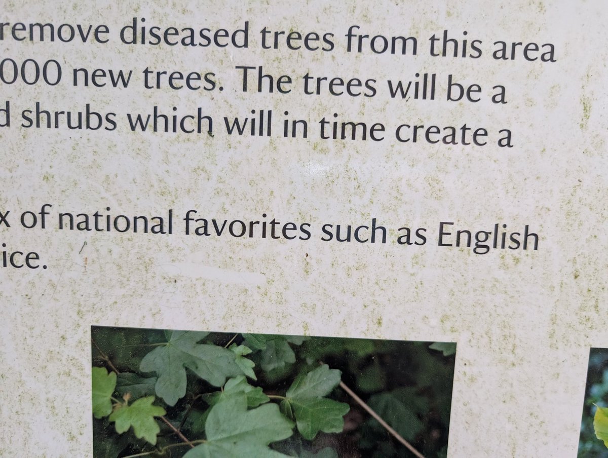 Asheboy's tweet photo. @nationaltrust you've missed the u on favourites on the new Chute Woods info board at Dunstable Downs. Obviously I'm not saying to replace it, but in case it's useful for future! https://t.co/JeISgBk09N