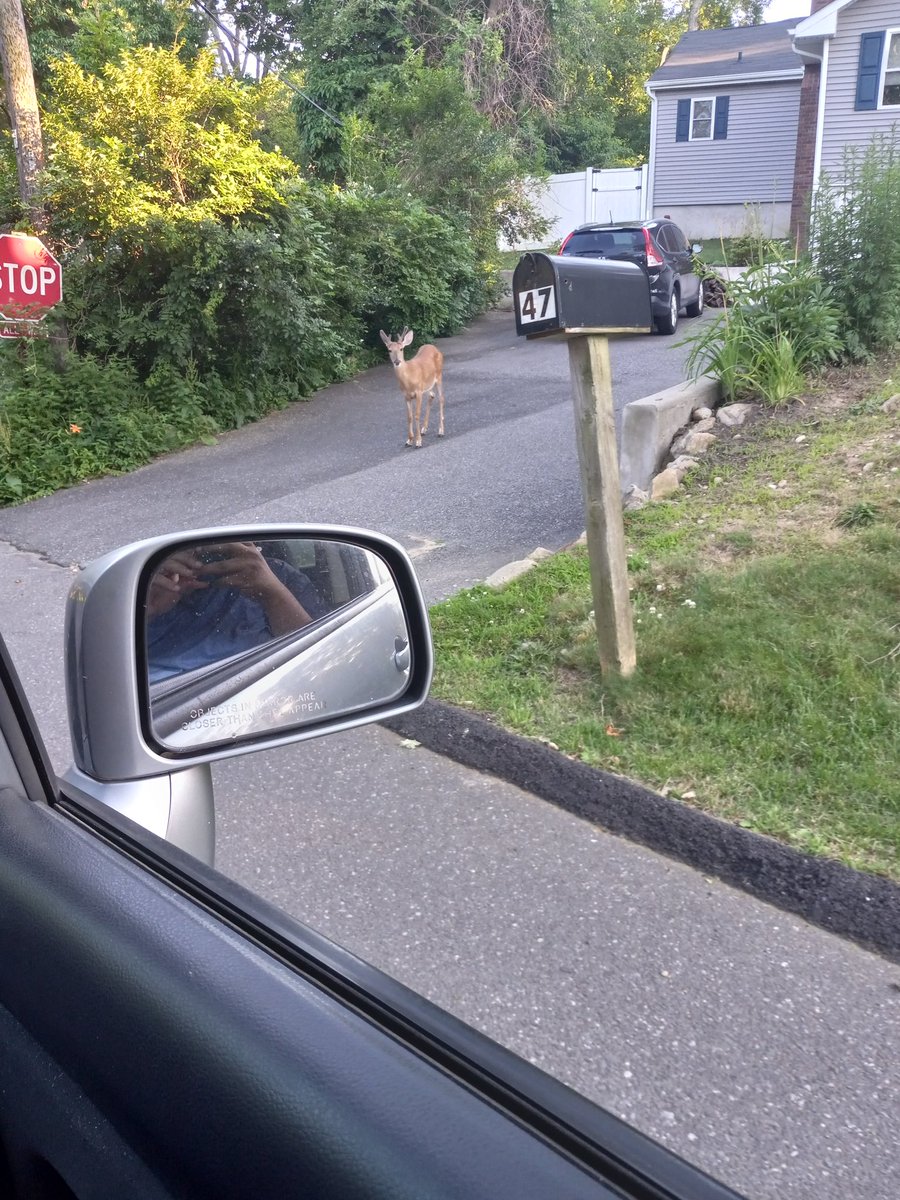 cahit sendag (@cahit0107usa) on Twitter photo 