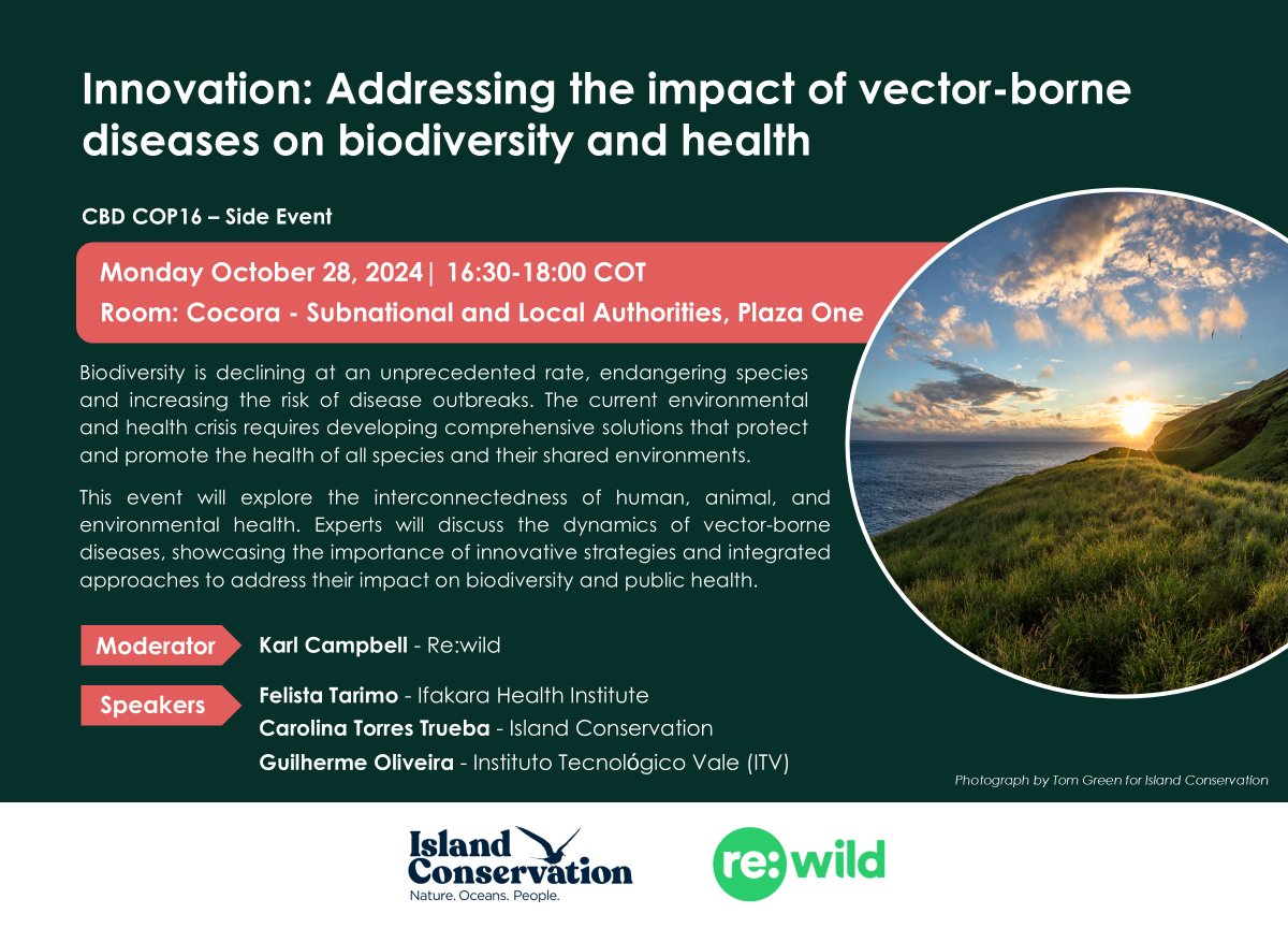 genedrivenet's tweet photo. 📢 Starting in 1 hour @COP16Oficial
Join experts from @ifakarahealth @rewild @NoExtinctions & Instituto Tecnológico Vale in 📍 Cocora, Plaza One Pavilion at 4:30-6:00pm to learn more about the impact of #VBDs on #biodiversity and #health and how new tools could help address this.

➡️ https://t.co/NhXKUbWS0u

@UNBiodiversity #COP16Colombia
