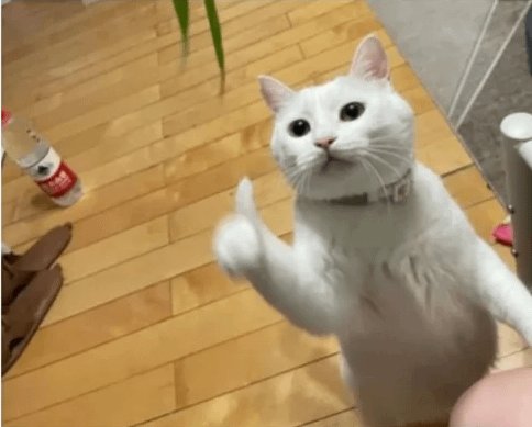 Michael Sun, seeker of opportunities ✈️MC Vegas tweet media