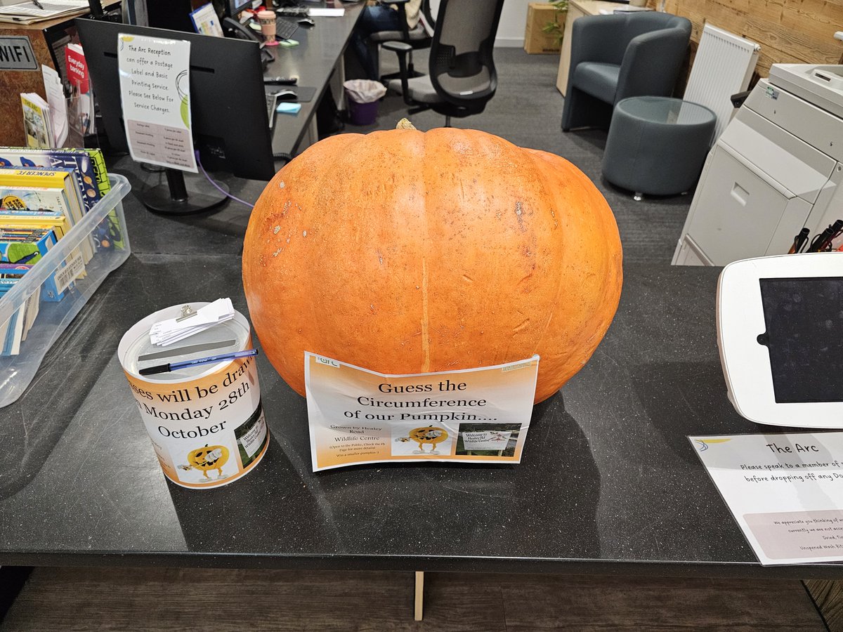 🎃 Our Pumpkin Competition has been Drawn 🎃 
We measured on delivery, then again today, took the average and it came out at....
🎃 164.65cm or 64.82 inches🎃 
The winner with a guess of 64.76inches is....
Charlie Green🎃 What a Guess🎃 
Please do come and collect your prize 🎃