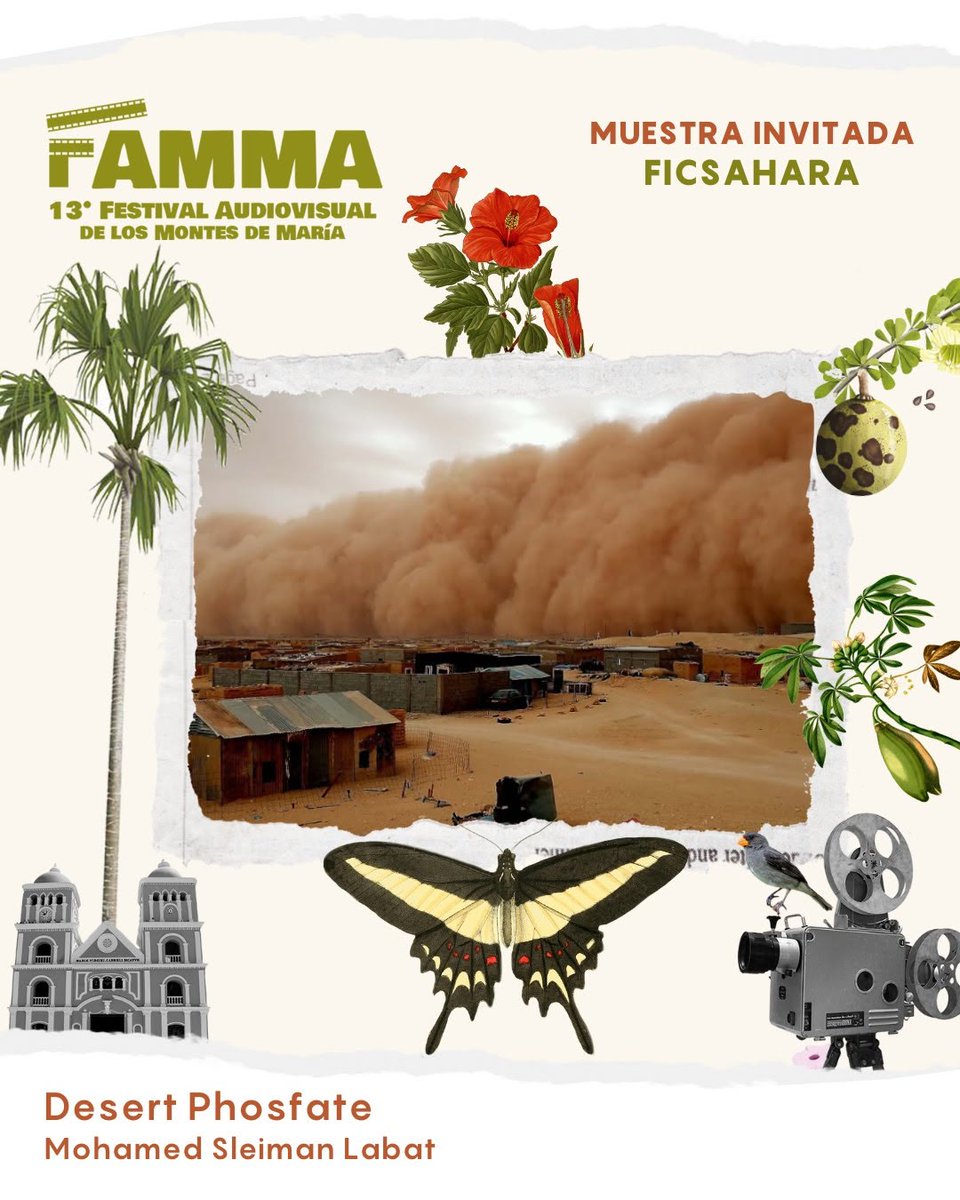 FiSahara tweet media