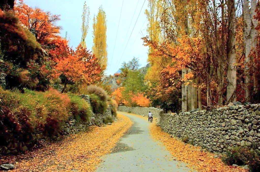 Autumn season in Bagrote ❤️

#AutumnSeason #BagroteValley #GilgitBaltistan #Pakistan