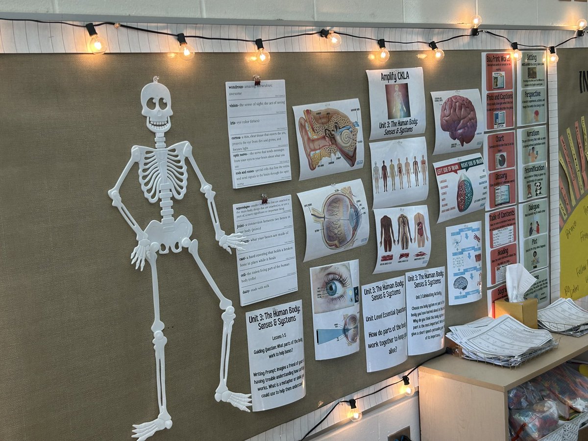 kimmott2's tweet photo. Wow!! Exemplar instruction by Mrs. Scanlon today using CKLA with Clear Learning targets and strong student engagement with text and collaboration to create a group product!  @JamesACaywood @TheKCSD https://t.co/NHm9hlEqu9