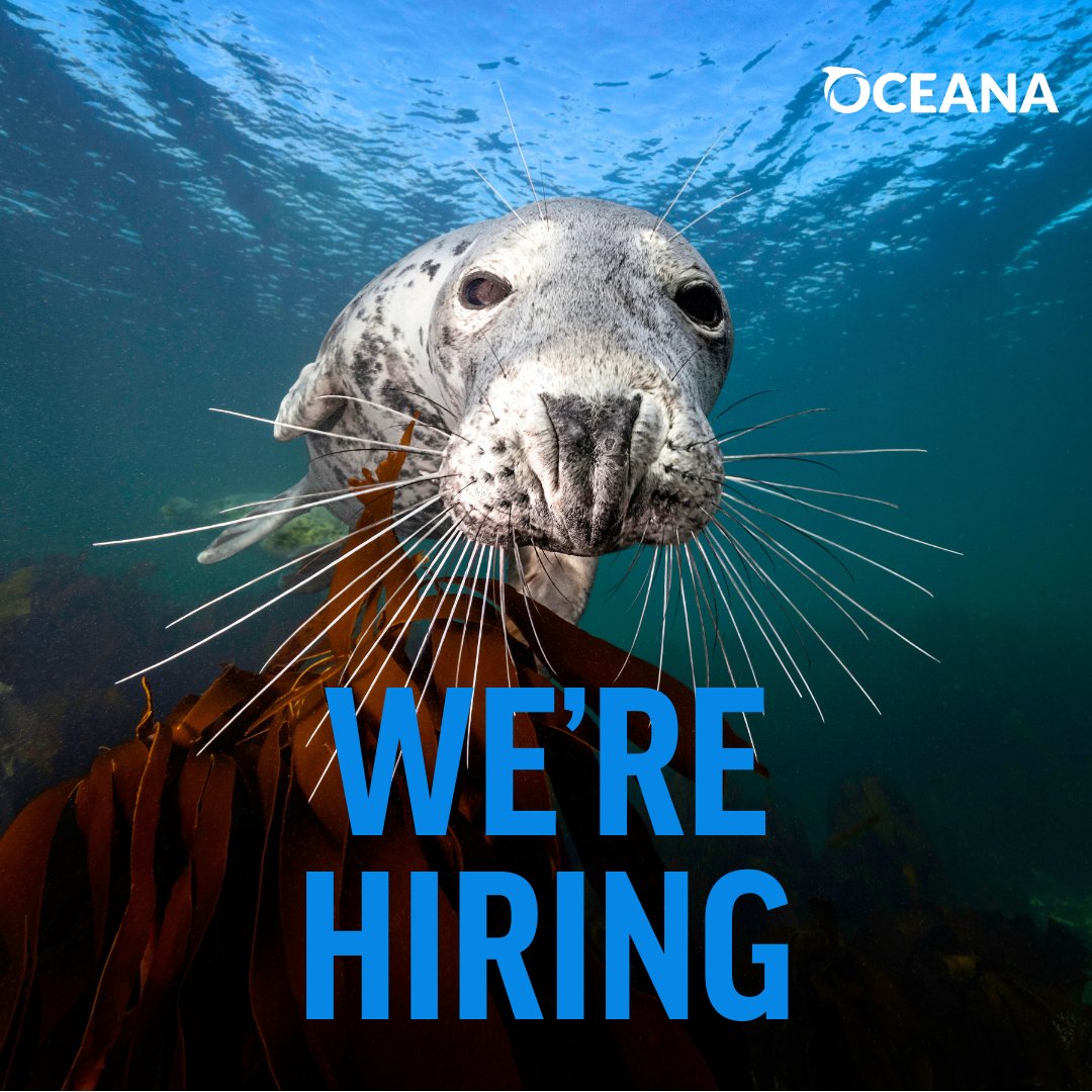 Oceana UK tweet media