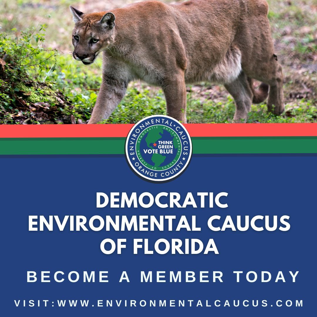 Democratic Environmental Caucus of Florida tweet media
