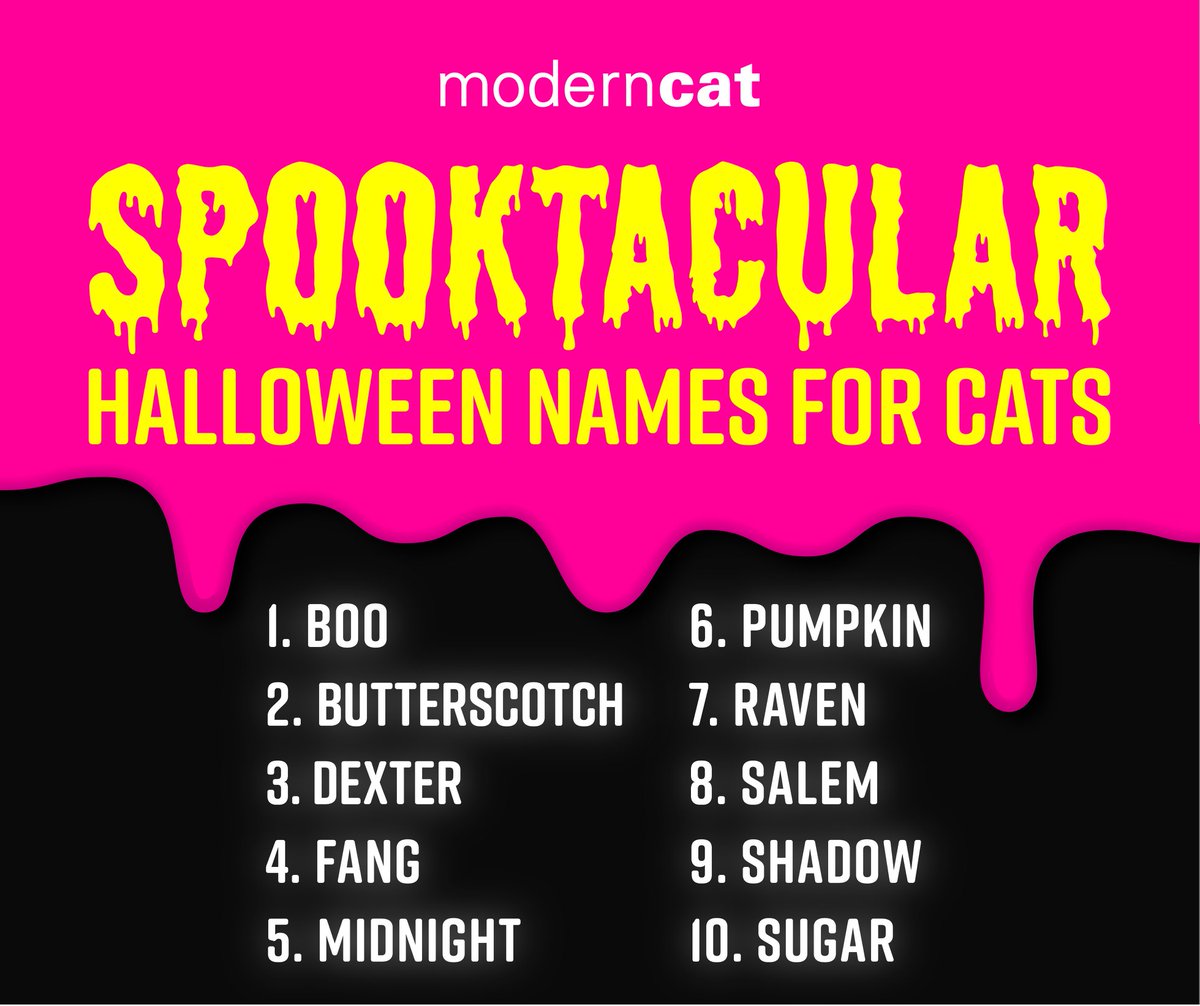 ModernCatMag's tweet photo. How cute are these spooky Halloween themed names for cats?! Does your cat have one of these names or a similarly spooky name?
#moderncat #cat #cats #catnames #halloween #spooky #spookyseason https://t.co/W7BIOjsYt3