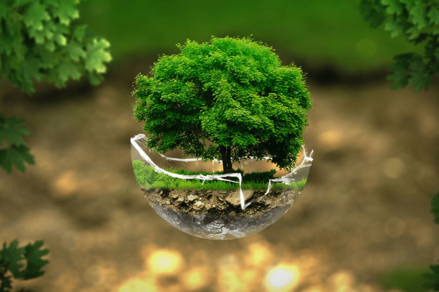 MP For Nature (@mpfornature) on Twitter photo Wed may be budget day but our survival depends more on nature, so pls urge your MP to attend <a href="/EllieChowns/">Ellie Chowns</a> debate on COP 29 and int. climate finance. Will PM commit to attend COP? Will gov commit to new and additional climate finance, not just part of existing overseas aid? Wed may be budget day but our survival depends more on nature, so pls urge your MP to attend <a href="/EllieChowns/">Ellie Chowns</a> debate on COP 29 and int. climate finance. Will PM commit to attend COP? Will gov commit to new and additional climate finance, not just part of existing overseas aid?