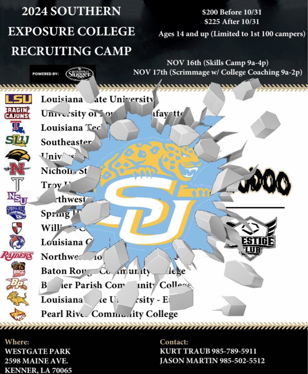 LouisianaVoodooSoftball tweet media