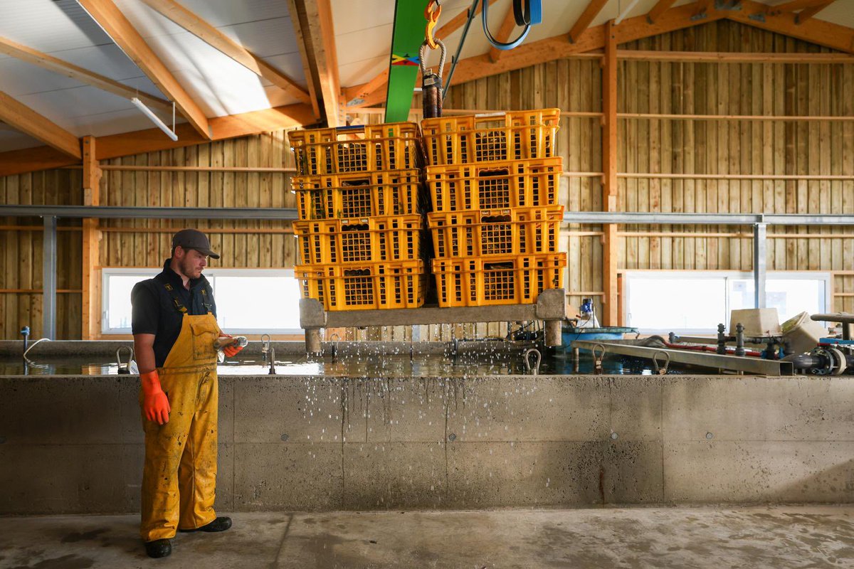 Hervé Morin tweet media