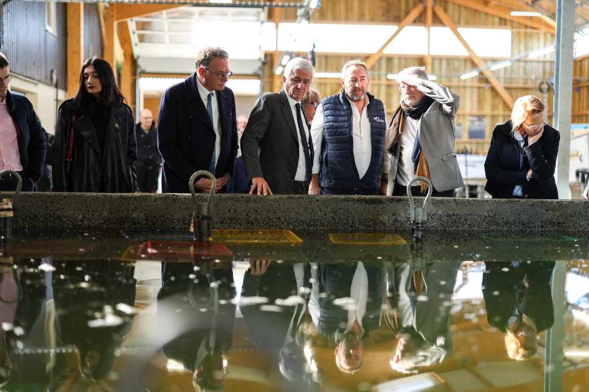 Hervé Morin tweet media