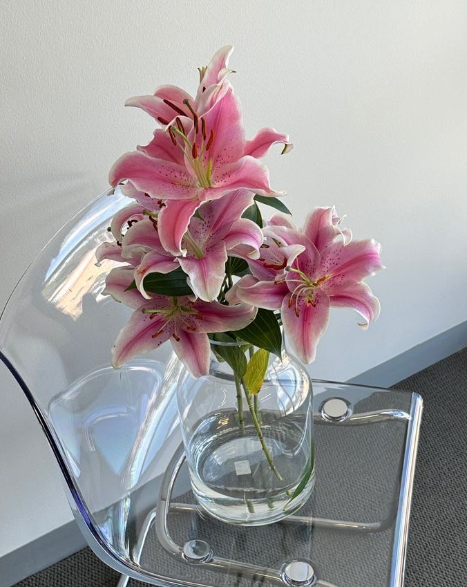 i3Moment's tweet photo. Lilies https://t.co/fghjMROM5v