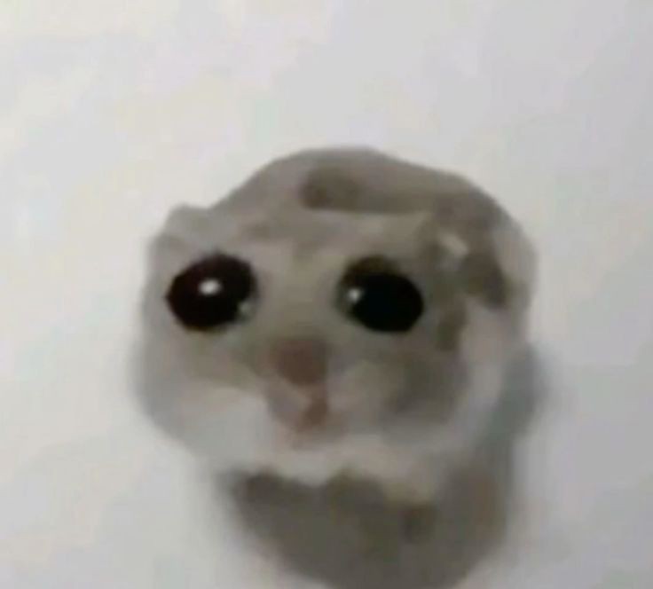 Apolmouse's tweet photo. Últimamente me han dado ganas de cambiarle el pololo al Tata... y si hago que se coma a besos con Fluffy? Tal vez les haga algún dibujito https://t.co/2aXhG7zSQb