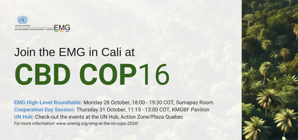 United Nations Environment Management Group (@un_emg) on Twitter photo Join us at the CBD #COP16Cali for the EMG High-Level Roundtable on Tuesday, 29 October, 18:00–19:30 COT. Senior Officials from 18 UN organisations will explore synergistic solutions to #ClimateCrisis, nature loss, desertification, and #pollution. 
More: unemg.org/emg-at-the-rio… Join us at the CBD #COP16Cali for the EMG High-Level Roundtable on Tuesday, 29 October, 18:00–19:30 COT. Senior Officials from 18 UN organisations will explore synergistic solutions to #ClimateCrisis, nature loss, desertification, and #pollution. 
More: unemg.org/emg-at-the-rio…