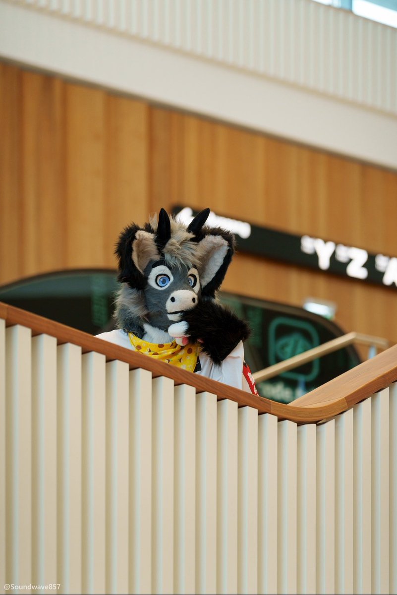 Guys… someone told me it’s Monday again… heck and I’ve also run out of snakes :/ 

📸 <a href="/Soundwave857/">Soundwave 📸</a>