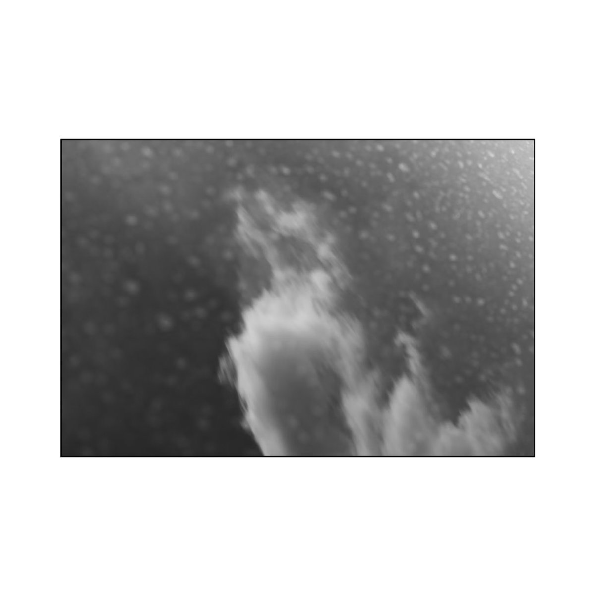 Shamiiww's tweet photo. Clouded specks.🌫️
 
#blackandwhitephotography 

(Check it out!🌪️)
https://t.co/WX02KlSl98 https://t.co/fq7JGcAtgO