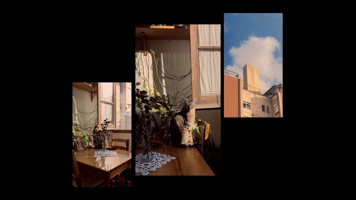 The <a href="/GuelphFilm/">Guelph Film Festival</a> Festival is back November 1-9, 2024! bit.ly/40fi7HU

MY SEXTORTION DIARY 
Patricia Franquesa | SPAIN | 64 min
Sat Nov 2 | 7:30 | ImprovLab, University of Guelph

Co-presented by <a href="/EdVideoGuelph/">Ed Video</a> 

#Guelph #GuelphFestivals #Documentary #LetsTalkDoc