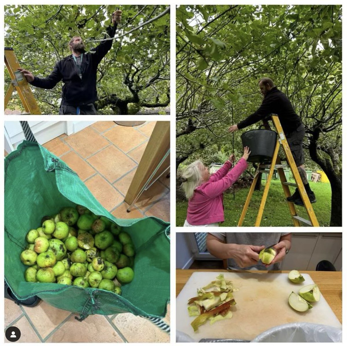 MeathCharity's tweet photo. 🍏 Delighted to harvest a bumper crop of apples from our Orchard! 🌳 Thanks to @RHSWisley’s amazing team for coppicing back in Feb, we now have 37kg of apples being made into chutney for our Meath Preserves range! 🍯🙌

#Apples #SupportMeath #Godalming #Horticulture https://t.co/03SGcRY6qF