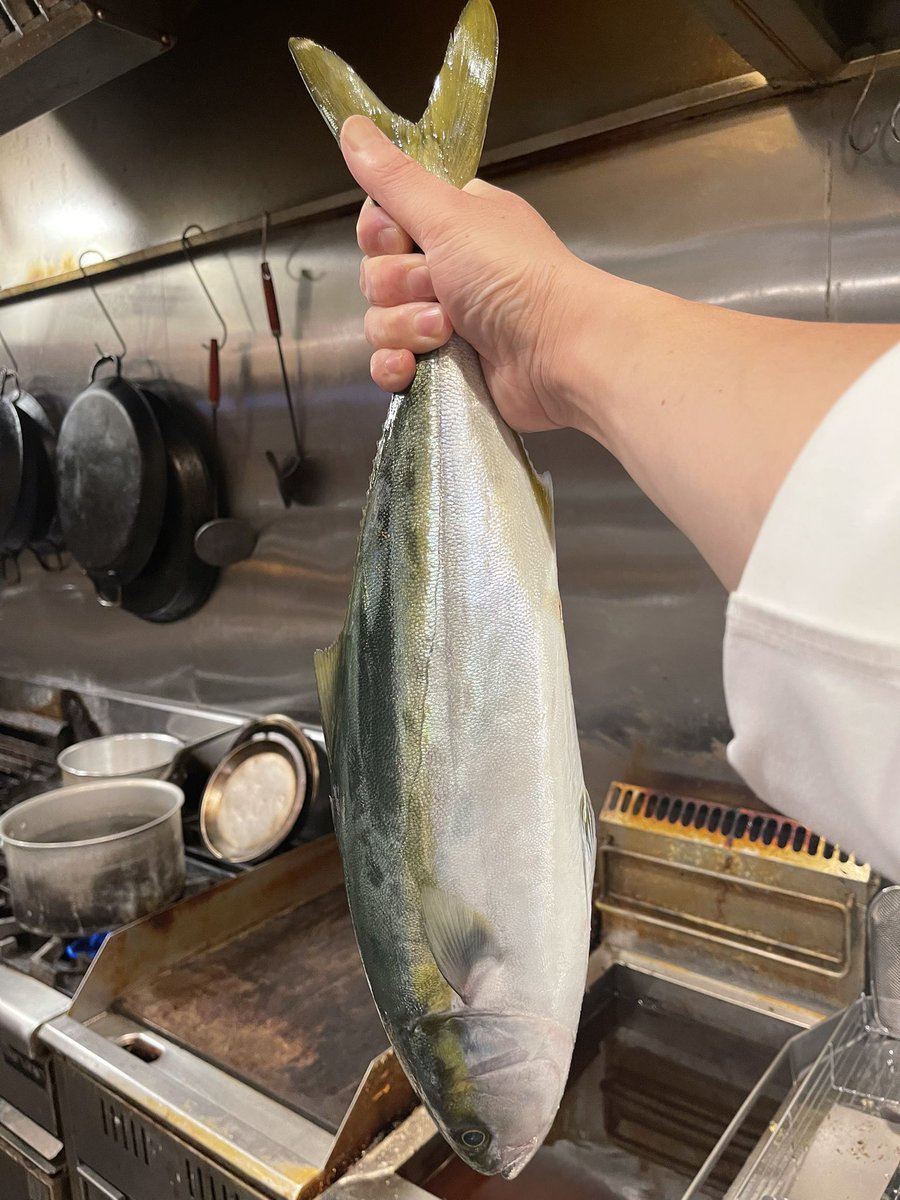 ka2eka9e's tweet photo. またもらた🐟 https://t.co/f6tmCvBeiL