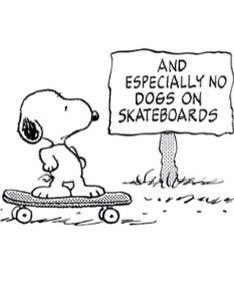 ੯‧̀͡⬮ (@1234beepbooop) on Twitter photo 