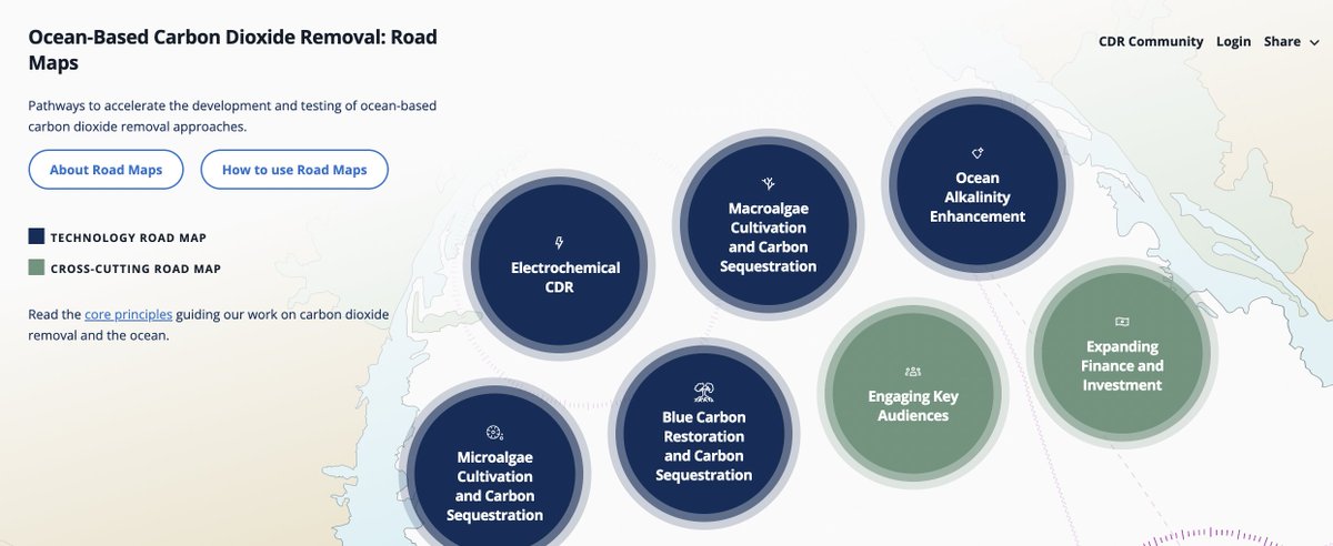 Removing legacy carbon pollution is critical for achieving global climate targets. 

Ocean Visions’ marine carbon dioxide removal road map outlines a comprehensive program to advance the science, technology, and policy priorities needed to rigorously evaluate various pathways.